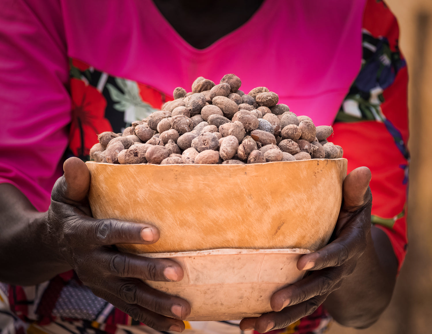 A Ghanaian woman is holding a bowl full of shea nuts.